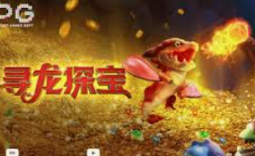 pg赚钱网站手机版