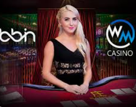 pg赚钱网站正式版